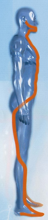 Chaîne de flexion